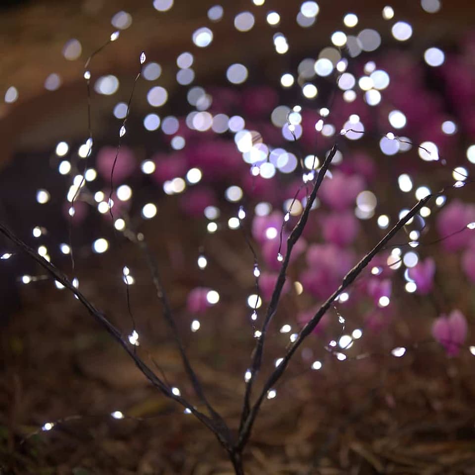 Lumify Warm White & White USB Solar Tree Stake Lights (Set Of 3) 3 x 100 DualWhite LEDs view 2