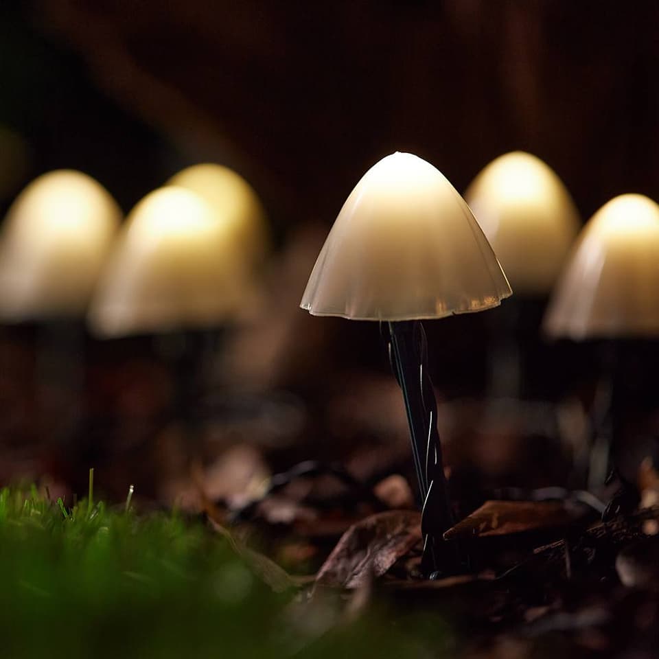 Forest Solar Mushroom Lights - Set Of 12 view 2