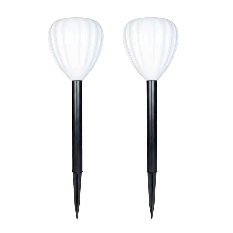 Tulip Solar Stake Lights (Set Of 2) view 2