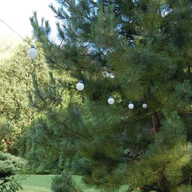 Everbright Solar Party Lights - 20 Multicoloured Balls view 3