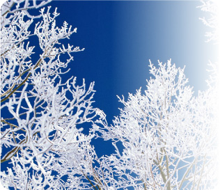 Works in Winter