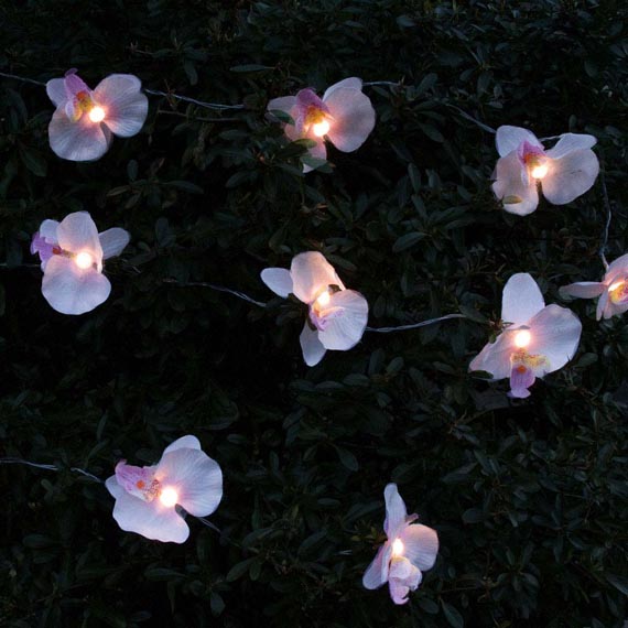 Orchid Solar String Light Warm White