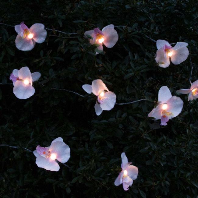 Orchid Solar String Light Warm White