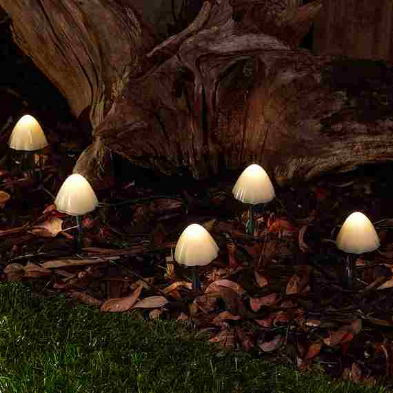 Forest Solar Mushroom Lights - Set Of 12