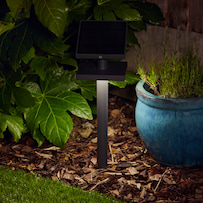 Anthralight Solar Garden Light