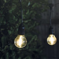 Lance Solar Festoon Lights (Set Of 10)