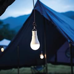 Sherwood Solar Bulb Light