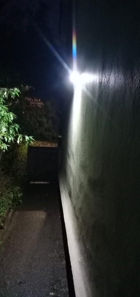 63b0729950d26.jpg