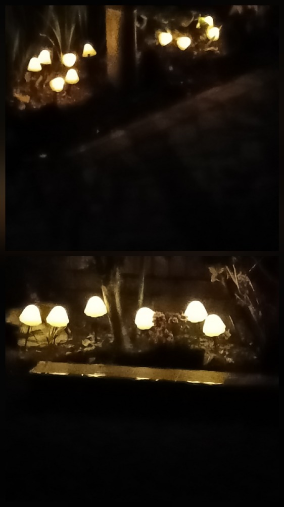 6859d24605f02.jpg